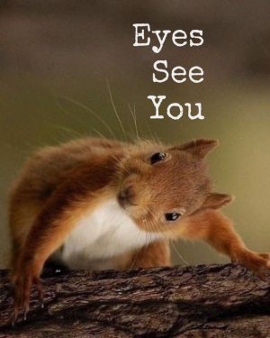 32837c28244f3036da74ff4044a09eb6[1].jpg