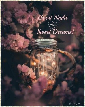 good-night-657.jpg
