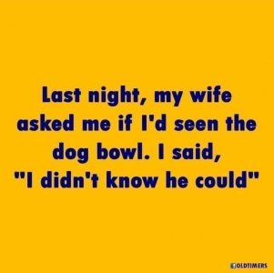 FB_IMG_1667872223683.jpg