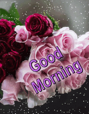 402823-Red-Pink-Good-Morning-Gif.gif