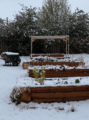 raised beds.jpg