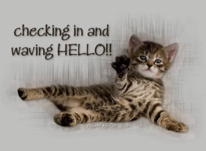 1aa98c4c47e3b2318fe779367aedc936[1].gif