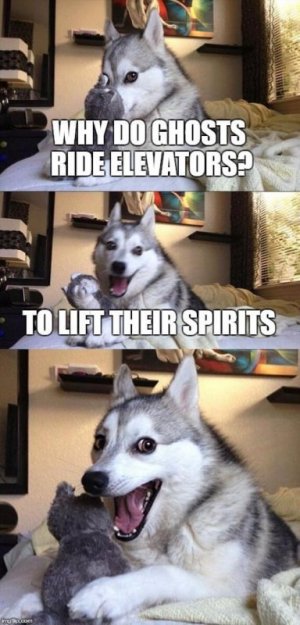 E706B5FB-7DF6-4301-80F0-AD1F0EF32510.jpeg