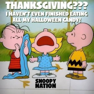 067fd359c9b517cd91da0a1a0022f236[1].jpg