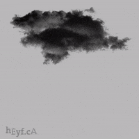raining cats and dogs.gif