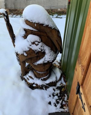 woody snow cap.jpg