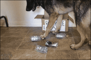 tumblr_nn8g52swLY1tlb56zo1_400.gif
