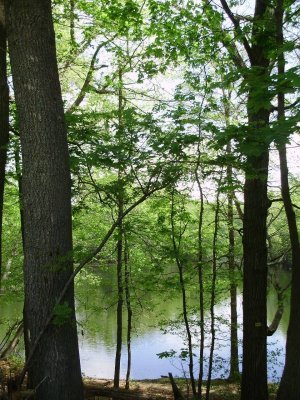 pond trees me.jpg
