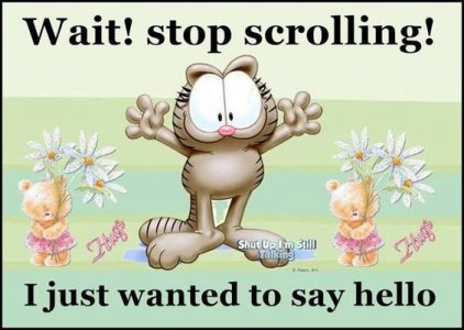 71ebef09f88b5adb7a127f7f8551e3cc[1].jpg