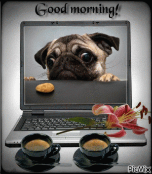 7420A7D1-C944-4778-848D-0731C24E3315.gif