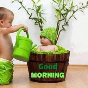 Good-Morning-Amazing-Funny-Photo-Image.jpg