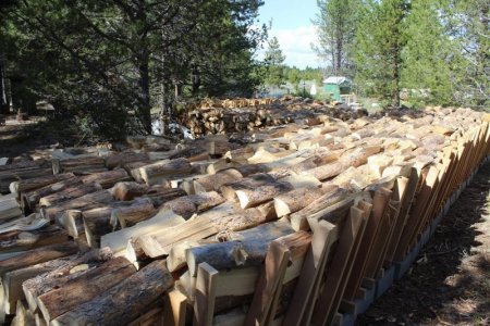 wood pile in summer.jpg