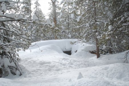 wood pile.jpg2.jpg