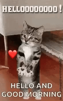 97c3e7f63e29a74bf941374a321a5719[1].gif