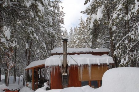 cabin in spring.jpg