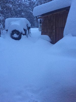 cabin to the jeep.jpg