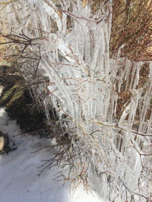 icicles.JPG