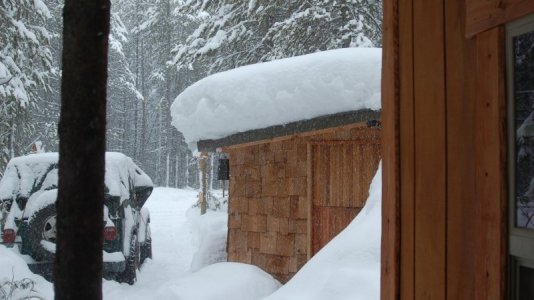 snow on the roof.jpg