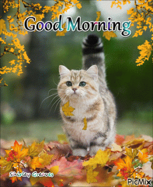 375745-Fall-Leaves-Good-Morning-Gif.gif