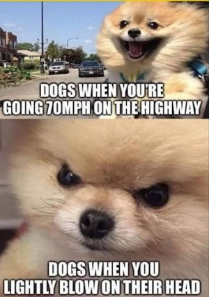 wind.jpg