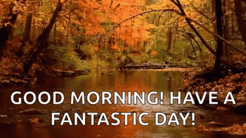 71091766-D01C-4010-8F24-24951BFC5001.gif