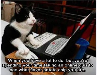 FB_IMG_1668273776714.jpg