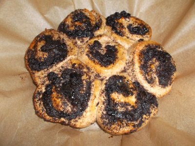 Poppy Seed Snails 001.JPG Poppy Seed Snails 001.JPG