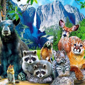 animalssss.jpg