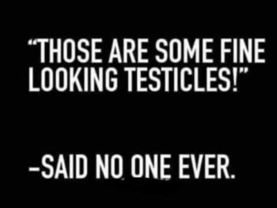 FB_IMG_1668300426344.jpg