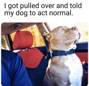 5C61C9CE-312C-44A8-8E0B-3053A9A7D931.jpeg