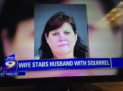 lllll.JPG