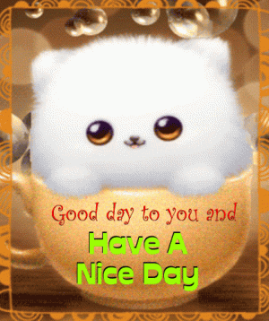 ab17191cda872cc201cedc2dddb7fcc3[1].gif