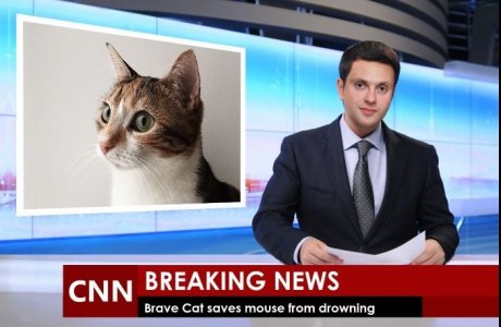 nnnn.JPG
