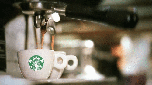 MatureLegitimateBluebottle-size_restricted.gif