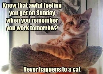 Mondays.jpg
