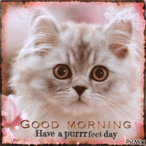10150534_70e91.gif