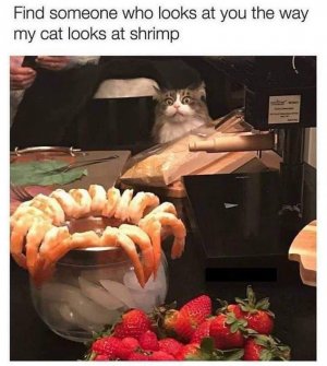FB_IMG_1668273592939.jpg