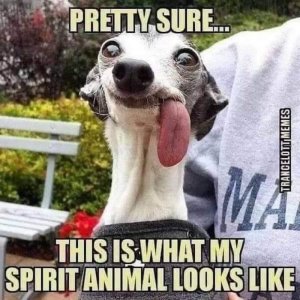 FB_IMG_1668479337659.jpg