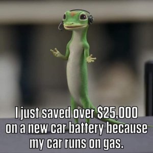 FB_IMG_1668378634385.jpg