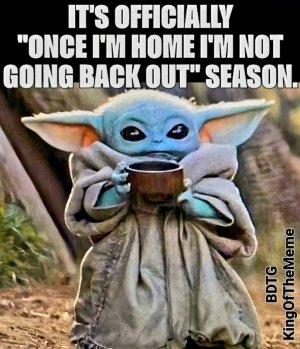 FB_IMG_1668372798470.jpg