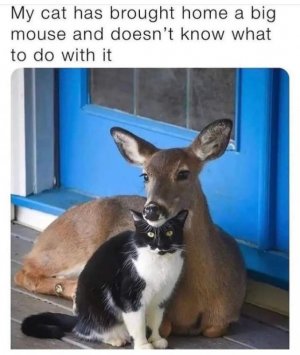 FB_IMG_1668307058397.jpg