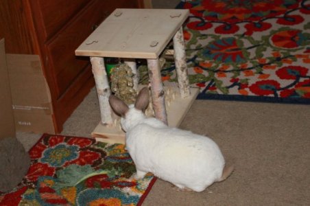 bunnytable.jpg