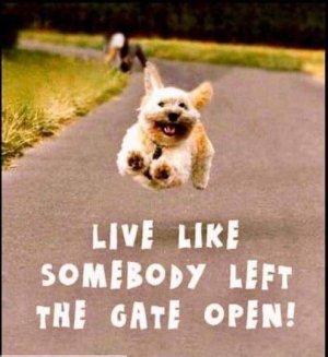 live life.jpg