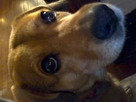 The Look of Love.jpg The Look of Love.jpg