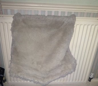 cat basket 001.JPG