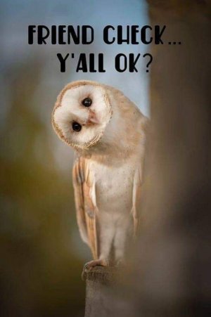 FB_IMG_1667944181455.jpg