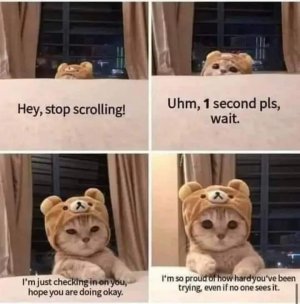 FB_IMG_1668493000453.jpg