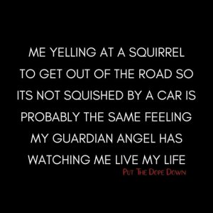 squirrel.jpg