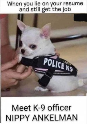 k9cop.jpg