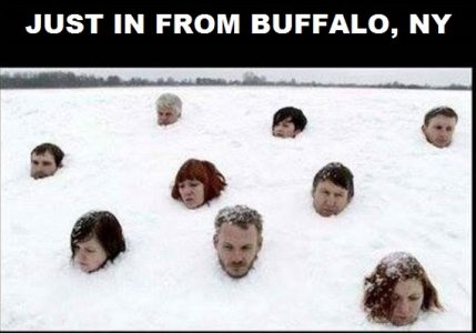 Buffalo.jpg